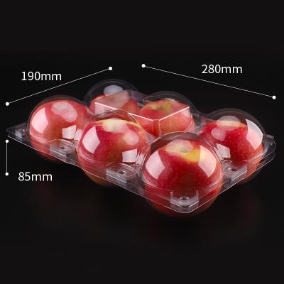 China Disposable PET Material Disposable Plastic Fruit Clamshell Container Plastic Type 6 Apple Box for sale