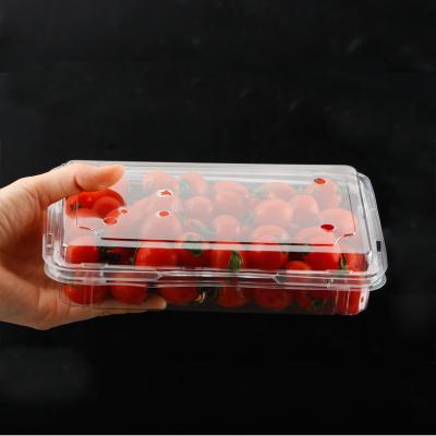 China Eco-Friendly Recyclable Disposable Plastic Pet Fruit And Vegetable Clamshell Food Container Transparent Box for sale