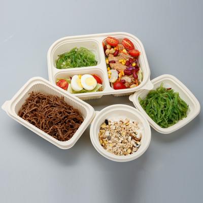 China Biodegradable Cornstarch Container Take Away Disposable Biodegradable Food Lunch Box for sale