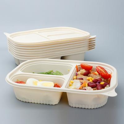 China Biodegradable Disposable Lunch Box Bento Corn Starch Food Freshness Storage Plastic Box for sale