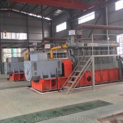 China Plant Biomass Gasification Generator Biomass Gas Generator 500kw~1MW Waste Gasification Power Plant for sale