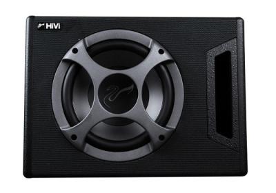 China Professional Hi Fi Car Audio Subwoofer 10