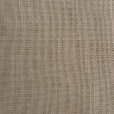 China Viable High Quality Canvas Gray Fabric 21SX21S 52X53 63