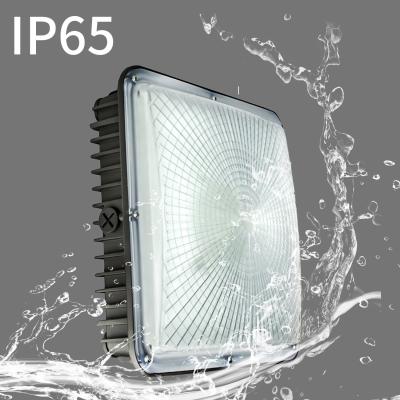 China Gas Station Fujing High Efficiency IP65 40W Waterproof Gas Station Lamp for sale