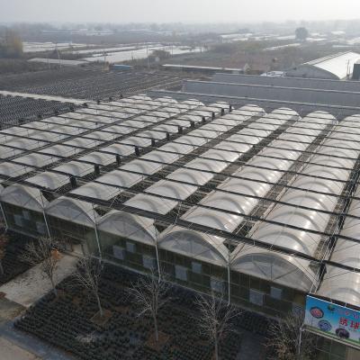 China PE Multi-span Plastic Film Greenhouse Tomato Greenhouse and Strawberry Greenhouse for sale