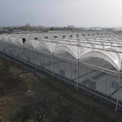 China Multi-span Greenhouse Agricultural Cheap Marketing Film PE Clear Plastic Woven Greenhouse Film Strip Production for sale