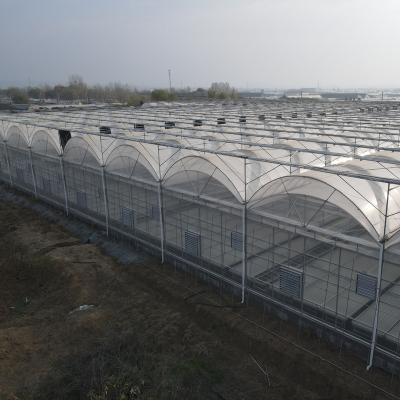 China PE Plastic Snail Breeding Film Screen Energy Saving Thermal Greenhouse for sale