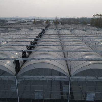 China 2021 New Design PE New Design Hot-dip Galvanized Steel Tunnel Greenhouse China Single-Span Agricultural Greenhouses Plastic Plant Film Poly for sale