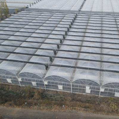 China Agricultural Commercial UV Resistant Clear PE Green House Plastic Sheet Reflective High Quality Greenhouses With Roof for sale