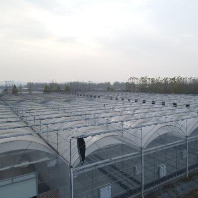 China Clear PE Low Price Sunlight Polycarbonate Panel For Greenhouse Plastic Cavity Wall Sheet Roofing Panels for sale