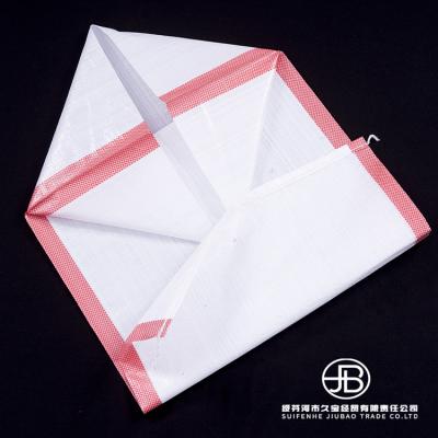 China Factory Direct Selling Agriculture Disposable Flour Color Printing Transparent Woven Bag for sale