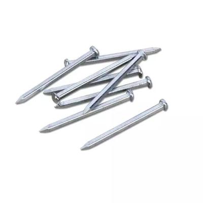 China Square Ship Flat Hot Dipped Galvanized Nail With Zinc Coated And Different Size for sale