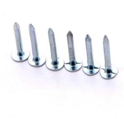 China Factory Good Quality Cloth Head Galvanized Nails China Cupper Nails for sale