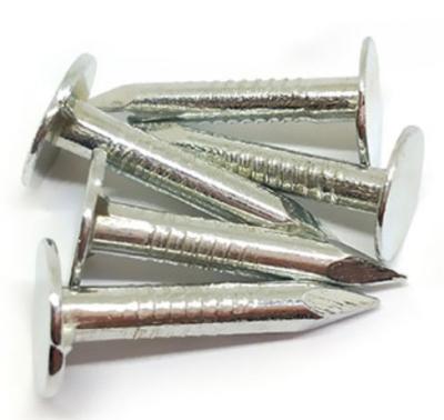 China Flat high quality aluminum covering nails for sale