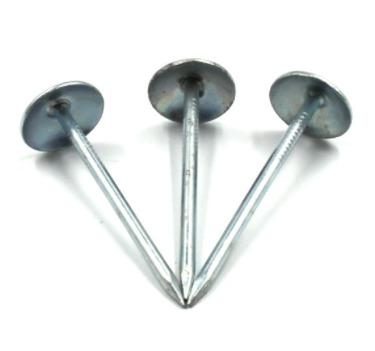 China Umbrella Galvanized Head Umbrella Roofing Nails Rubber Seal With Factory Price for sale