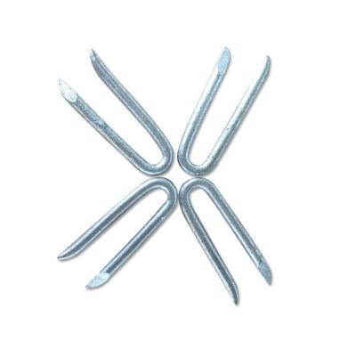 China BRAD High Quality Stainless Galvanized U-Nails for sale