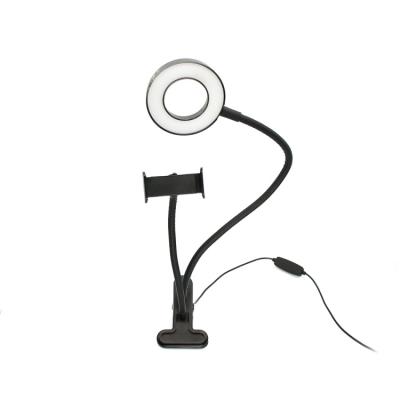 China Mini Hot Sale TikTok Stand Phone Holder Portable Selfie Photography Led Ring Light With Clip for sale