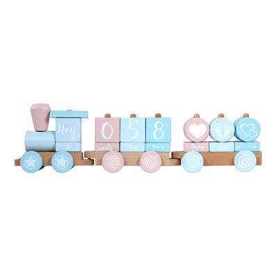 China European Custom Milestone Blocks Baby Age Blocks DIY Baby Age Photo Wooden Baby Milestone Block for sale