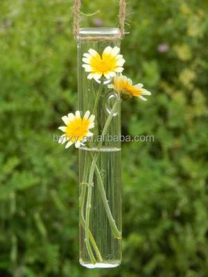 China Handcrafted Tall Clear Cylinder Stem Glass Vase For Aquatic Plant for sale