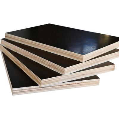 China North America Use Birch Core Smooth Surface Phenoclic Gule WBP Brown Film Faced Plywood for sale