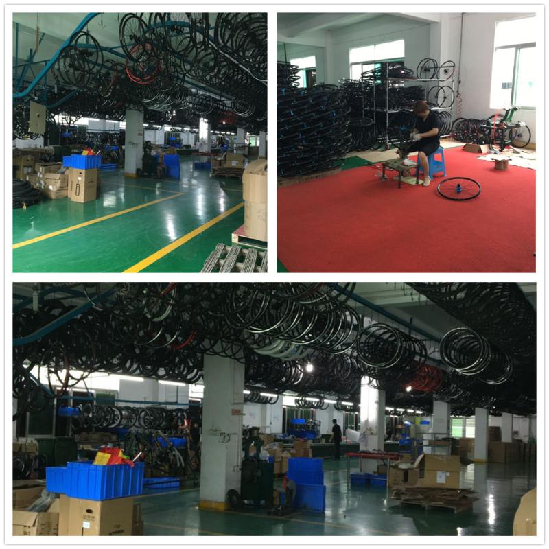 Verifizierter China-Lieferant - Huizhou SAVA Bicycle Co., Ltd.