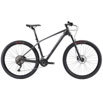 China 22 bicis de montaña de la velocidad SHIMANO Hardtail, bici de Mtb del carbono de TORAY T800 en venta