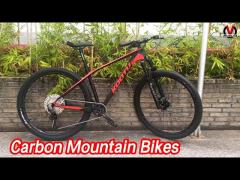 Aluminum Alloy Carbon Mountain Bikes 12 Speed Double Disc Brake For Male