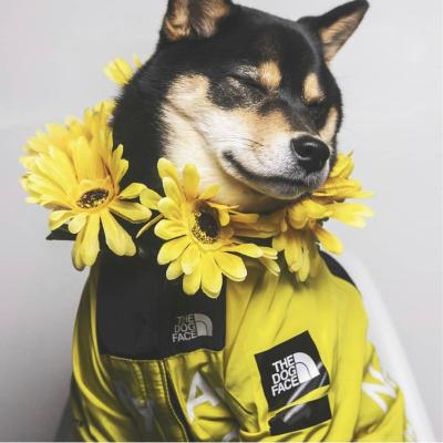 China New Viable Designer Dog Jackets Rain Coat Autumn And Winter Pet Clothing Clothes The Dog Face Jacket for sale