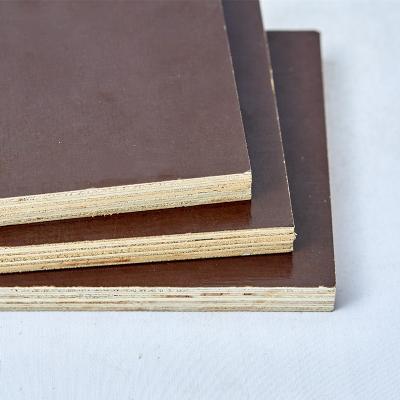 China Modern Hardwood Plywood Laminated Commercial Construction Plywood Melamine Plywood for sale