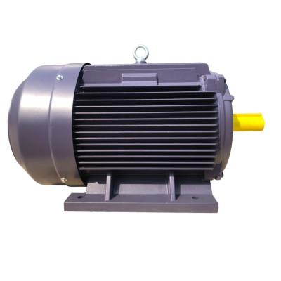 China Totally Enclosed Direct Starting Three Phase Asynchronous Induction Squirrel Cage AC Electric Motor for sale