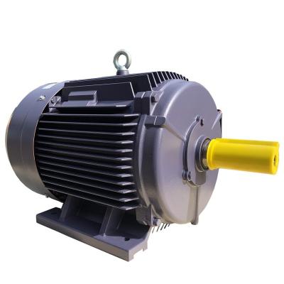 China Totally Enclosed Cast Iron Three Phase Asynchronous Induction AC Copper Wire Electric Motor for sale