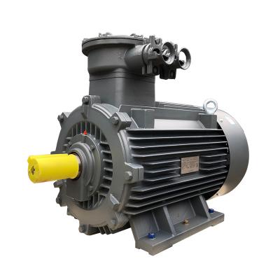 China High Quality Explosion Proof Induction Motor Asynchronous Electric Three Phase Explosion Proof AC Motor for sale