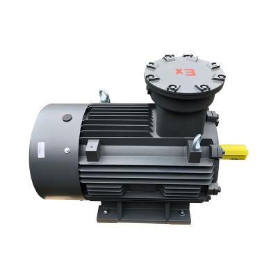 China 380V Induction Electric Motor Explosion Proof Three Phase Asynchronous Motor for sale