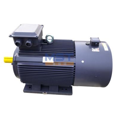 China IP55 Series Totally Enclosed Variable Frequency AC Yd/Yvf2 Three Phase Electric Induction Motor for sale