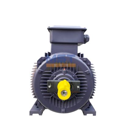 China High Efficiency Fully Enclosed Variable Frequency Premium Three Phase Induction Electric AC Asynchronous Motor for sale