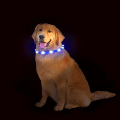 China Lights Private Label NODAV Led Dog Collar Usb Lightweight Adjustable Rechargeable Pet Fashion Neck Collar for sale