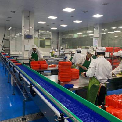 China Heat Resistant Belt Conveyor For Food, Food Grade Conveyor Belt, Food Industry Conveyor Belt for sale