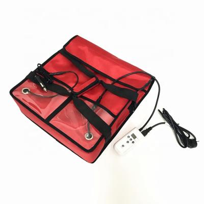 China Insulated Pizza Bag Food Delivery Bag Heated Pizza Warmer Bag for sale