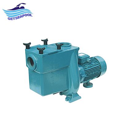 China Villa Pool Strong7.5HP/10HP Pool Cast Iron Pump Water Pump for sale