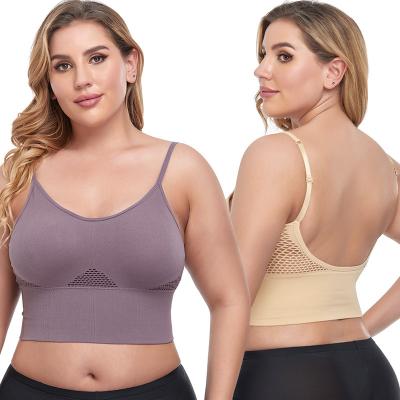 China Factory price ladies seamless comfortable seamless bra plus size bras for women bra fat female for sale