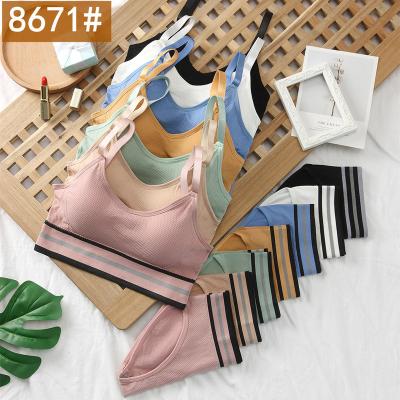 China Dropshipping women breathable seamless sports bra set yogo bra and panty set ladies lace up shorts and bra set for sale