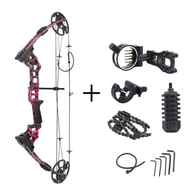 China 2021 new design hunting hunting archery, bow archery compound bow sets for sale