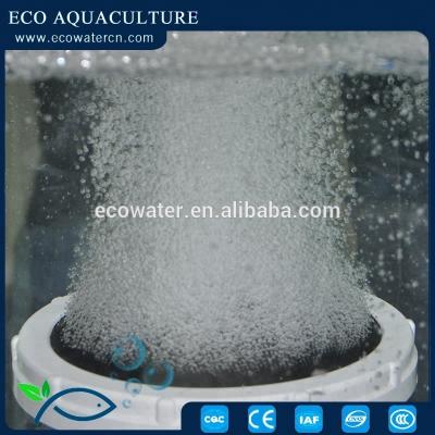 China Water Treatment ECO Dic Bubble Diffusers--micro nano bubble / equipment / mold aireadores for sale