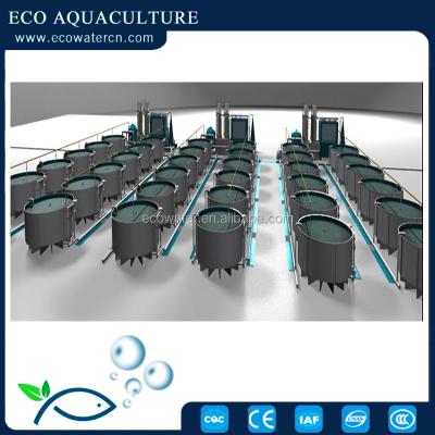 China Saltwater Freshwater Fish Farms RAS/Recirculating Saltwater Aquaculture System Fish Farm Oxygen Aerator For Intensive Aquaculture for sale