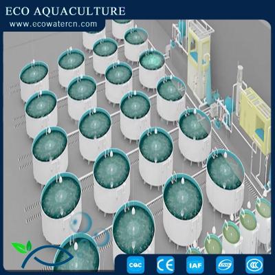 China Intensive aquaculture farm RAS--professional fishing/aquaculture farming/wastewater treatment system for sale