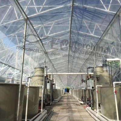 China Intensive Aquaculture Farm RAS--Equipment / Nursery Grow Bags / Air Water Generator for sale