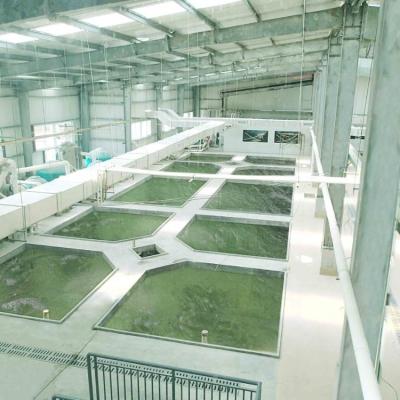 China Aquaculture Farm RAS Intensive series of treatment processes are used to maintain water quality in intensive fish farming operations for sale