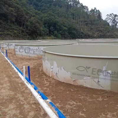 China ECO RAS Aquaculture Fish Farming System Printhead Recycling System Biofloc Tank Indoor Fish Farming Machinery for sale