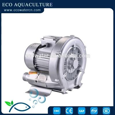 China Air Dlivery for ECO Farms/Factories Fans/Pumps--1000L/min 800W Large Swirl /Vortex Jet Compressor Fan/Magnet for sale