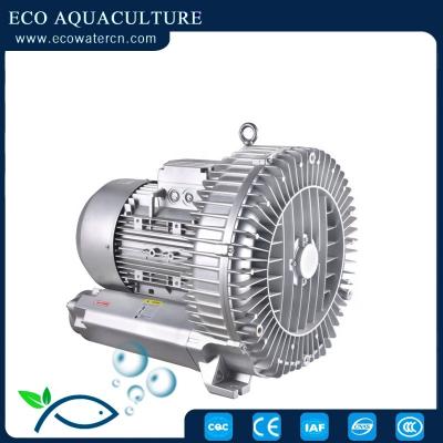 China 2.2kW regenerative washing and cleaning fan for Plant/RAS wastewater treatment for sale